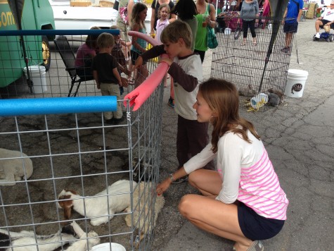 Sophie with the baby goats