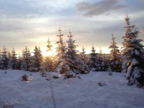 We finally saw the sun again in Lillehammer, Norway!