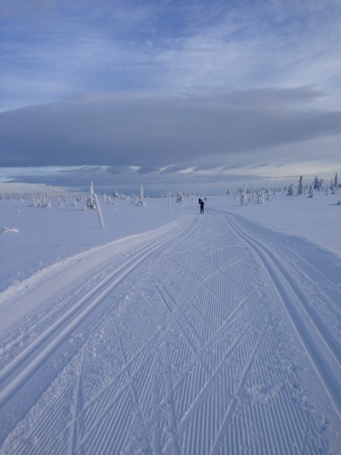 Enjoying the beautiful skiing in Sjusjøen one last time!