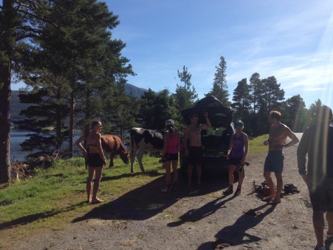Soph, Virginia, Simi, Caitlin and Andy changing out of their ski clothes and surrounded by the cows