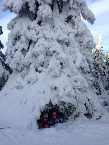 So much snow! Liz and I found a little tree fort. 