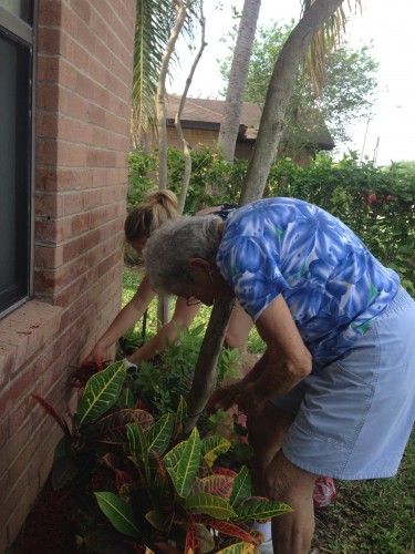 Nana, Mom and I did lots of fun garden work. 