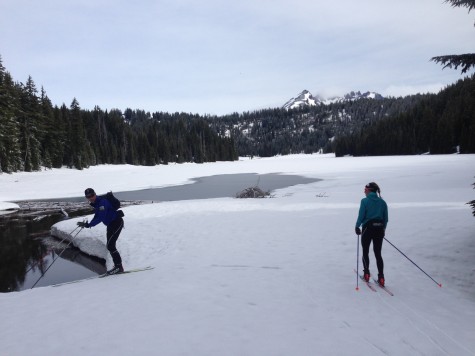 Todd lake. Not totally frozen, but solid enough. 