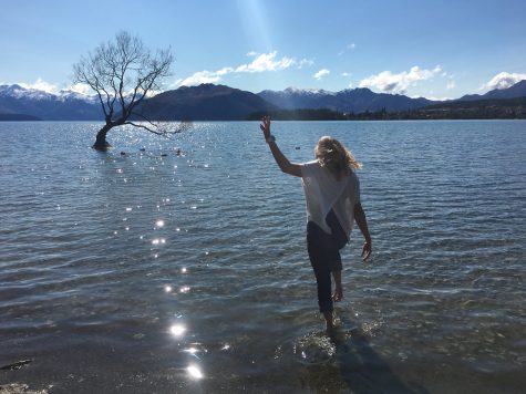 Walking out to the floating tree in Wanaka on a day off (photo from Erika)