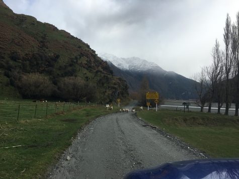 Watch out for sheep and river crossings! 