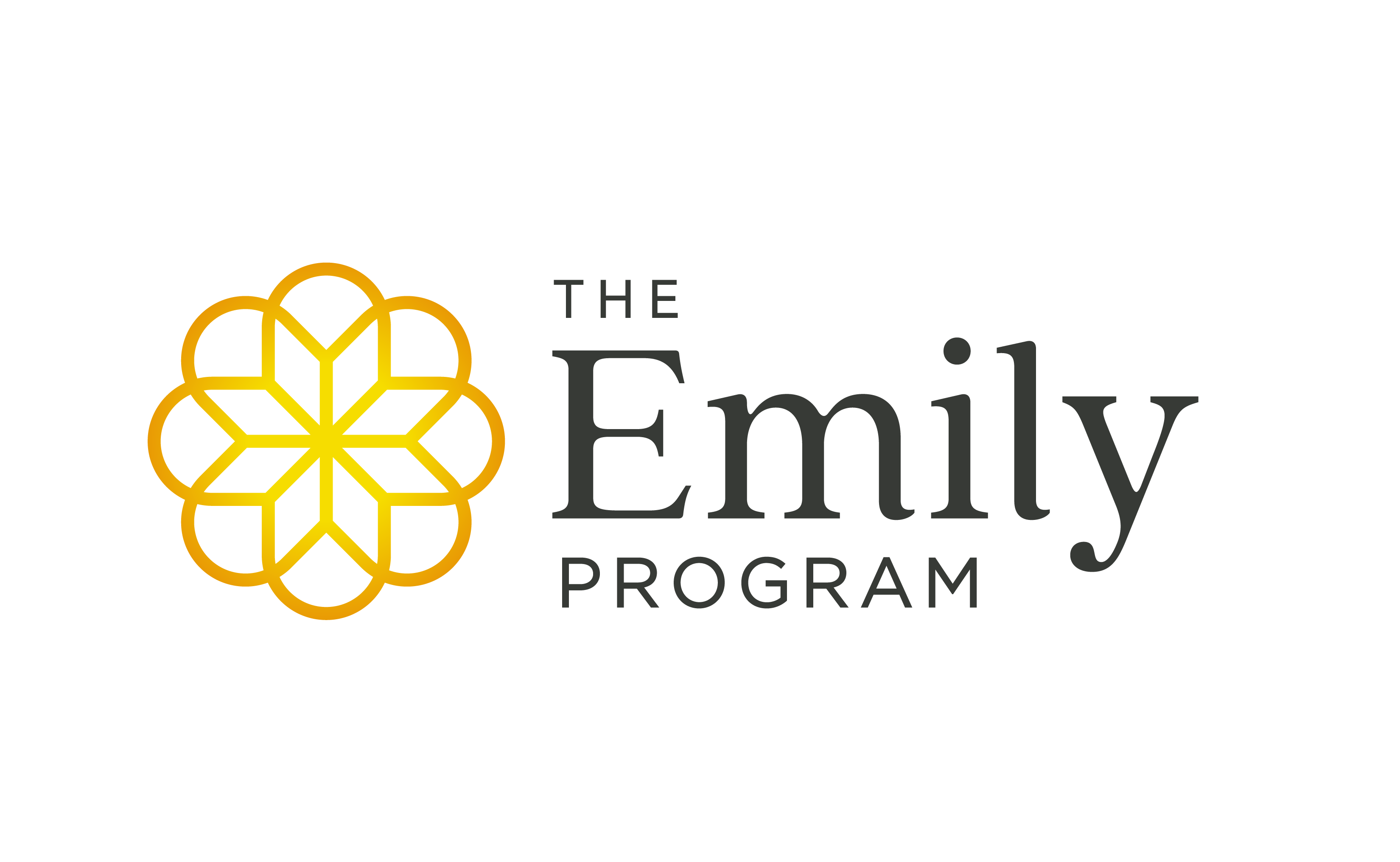 emily program logo